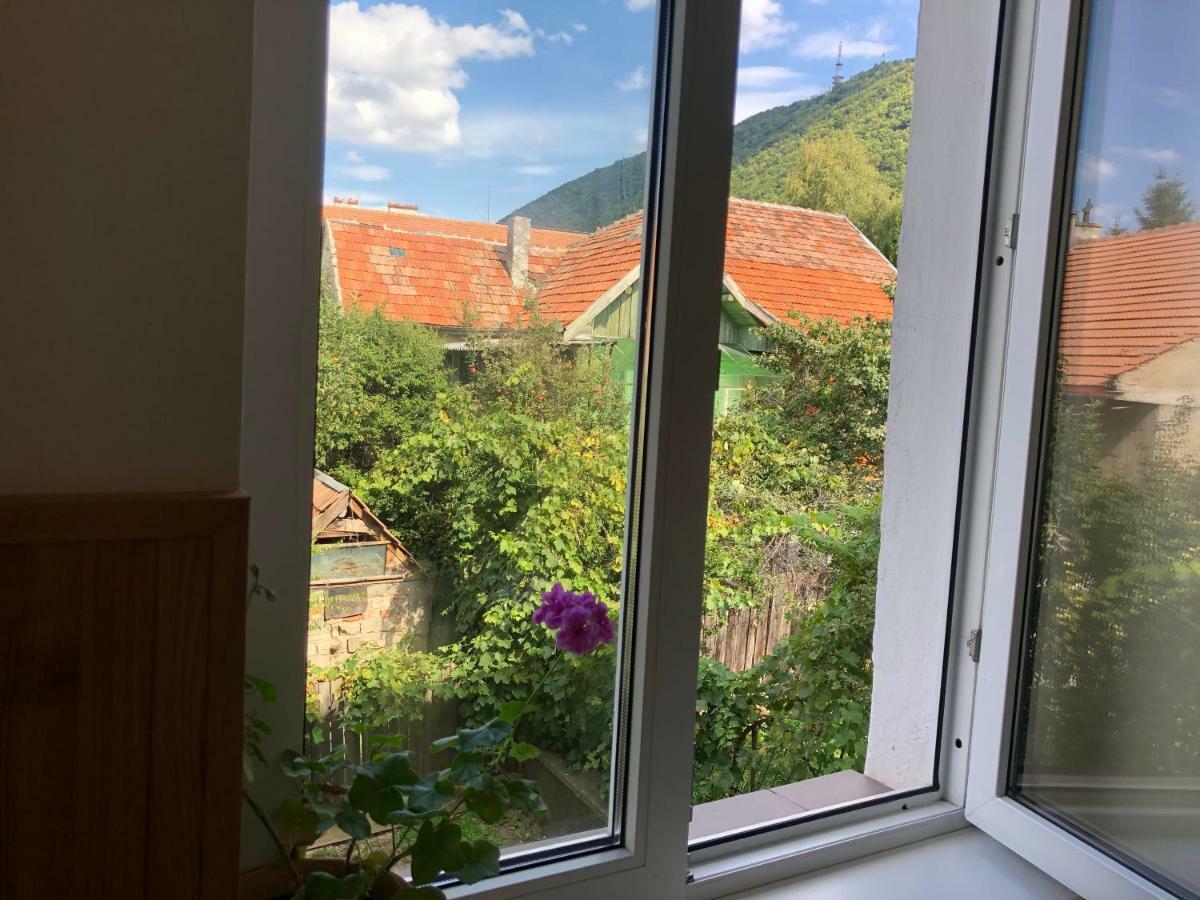 Schei Apartment 2 Брашов Экстерьер фото