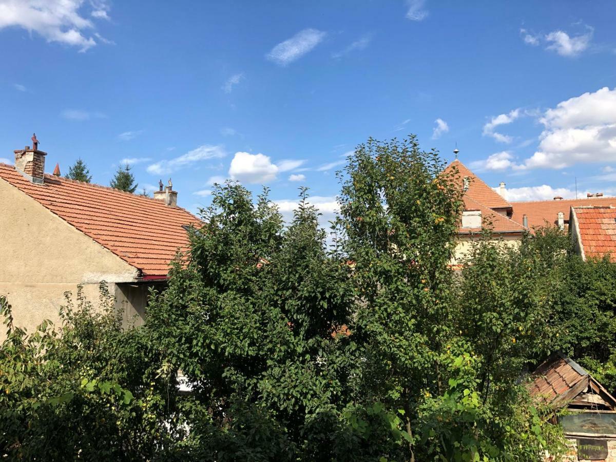 Schei Apartment 2 Брашов Экстерьер фото